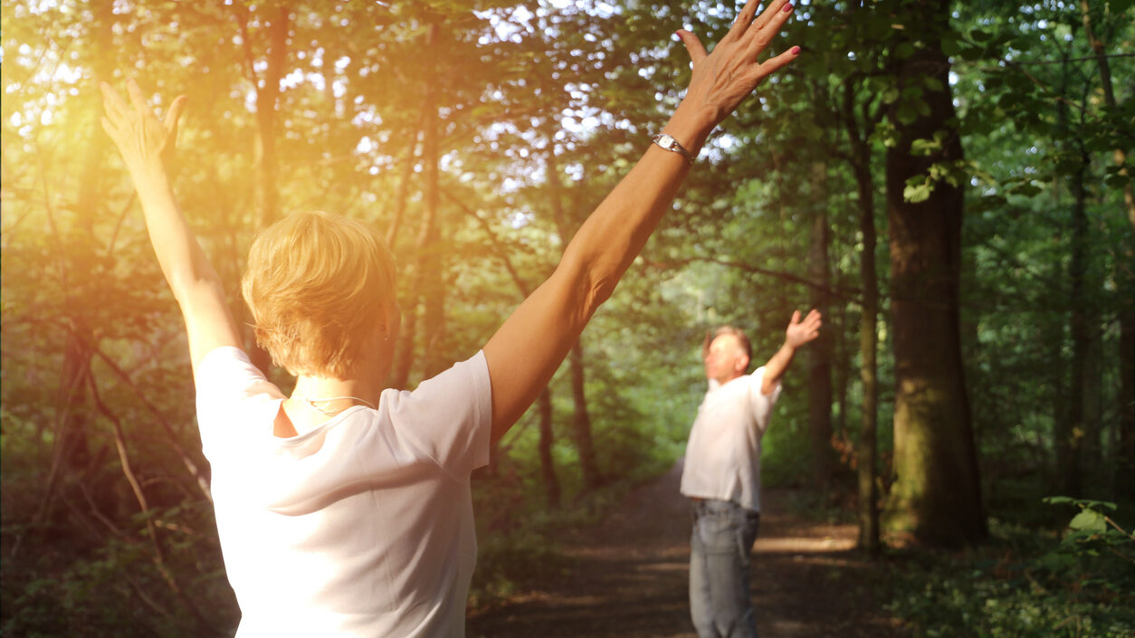 Forest Bathing (shinrin Yoku), Nature Therapy