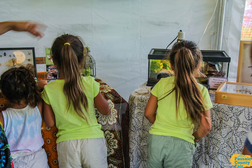 Passaic County Fair Exhibit