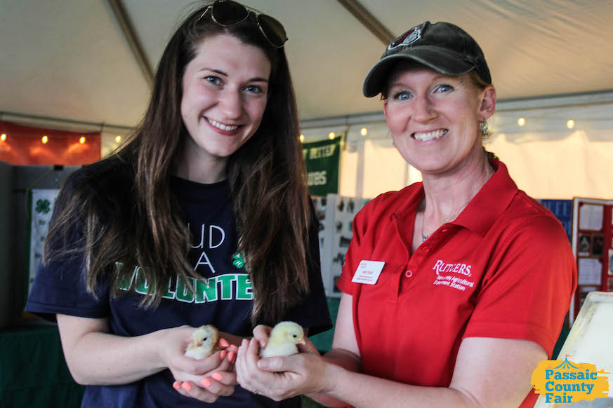 Passaic County Fair Petting Zoo