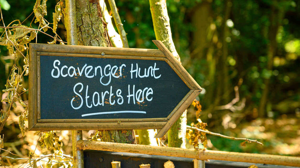 Scavenger Hunt This Way Signpost In Lush Forest Woodland