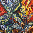 Croton Blues
