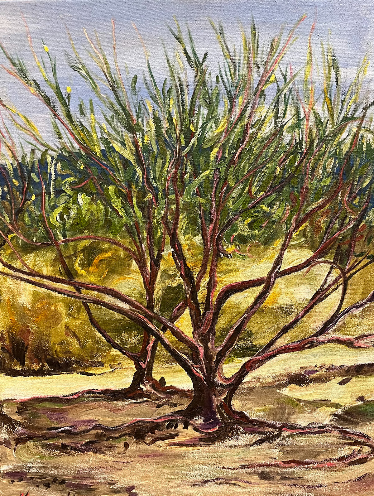 Desert Trees