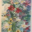Saturday's Wild Flowers