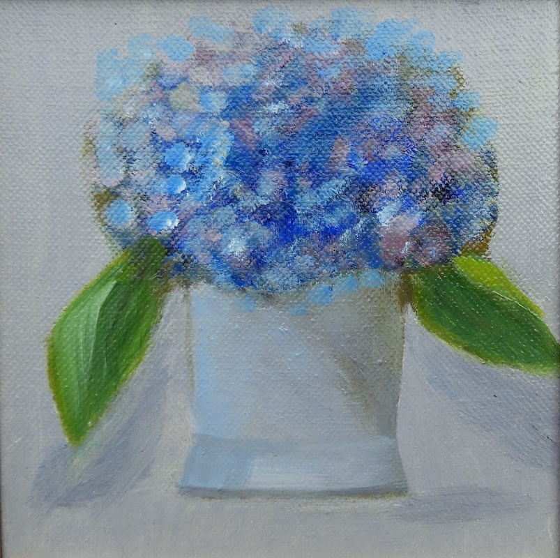 Singlebluehydrangea6x6oilnquatrocchi2017 Edited