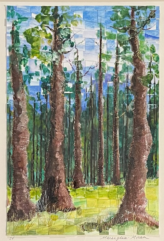 Tall Trees
