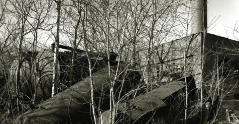 The Iron Hand in the Silk Glove: Allied Textile Printing Site Lecture