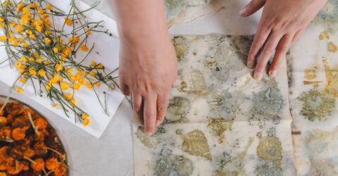 PCAC: Botanical Imprinting and Collage