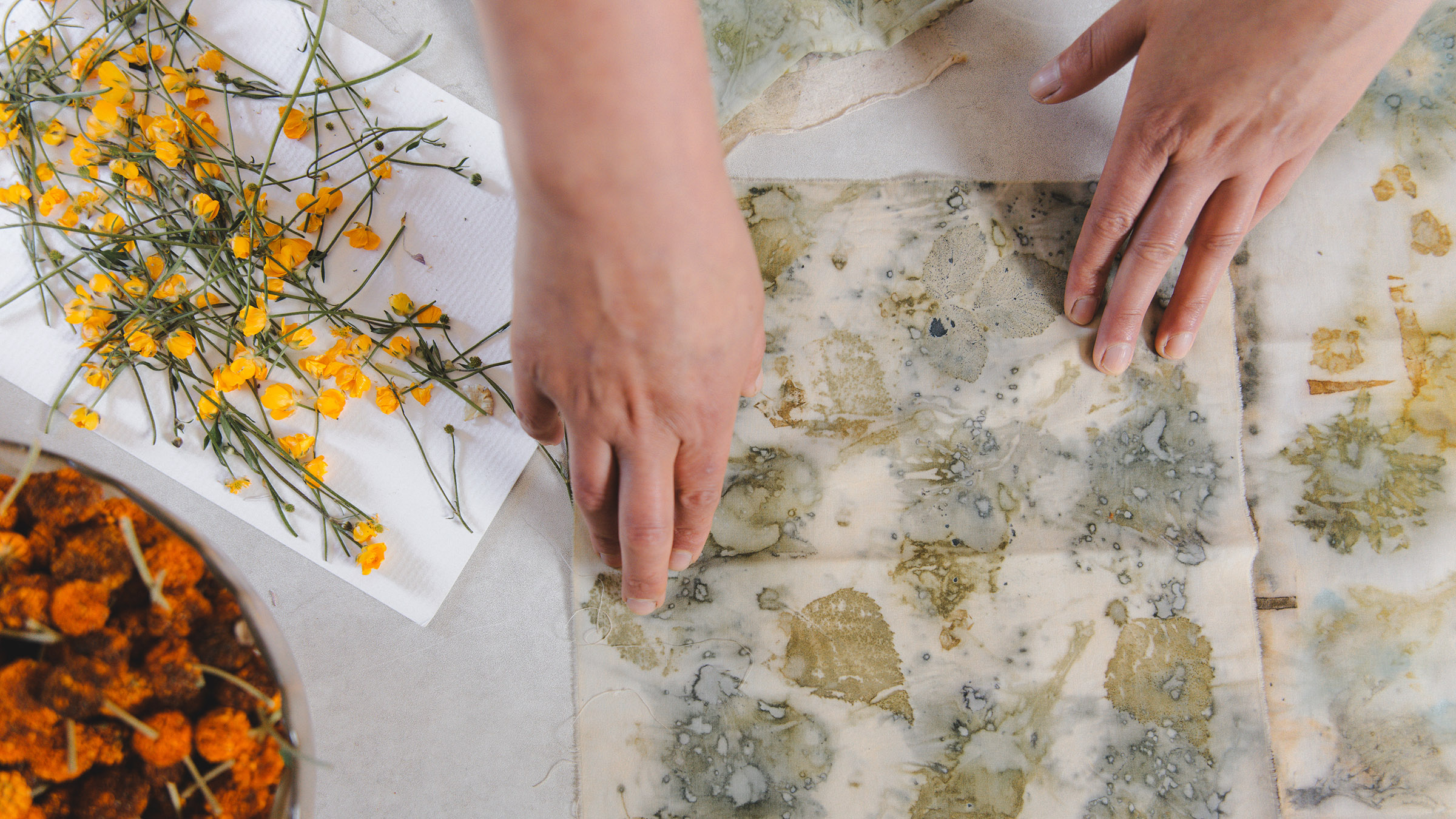 Top View. Textile Artist, Bouquet Of Wild Flowers In Hand. Fabric Dyed With Natural Flower Patterns. Copy Space Banner